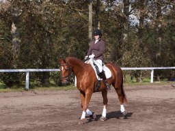 IMG_7888_web
